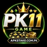 PK11 Game